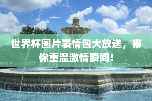 世界洪湖市顺升工程机械租赁有限公司杯图片表情包大放送，带你重温激情瞬间！
