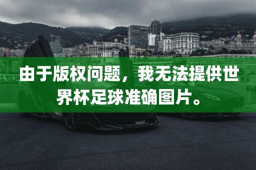 由于版权问题，我无法提供世界杯足球准确图片。洪湖市顺升工程机械租赁有限公司