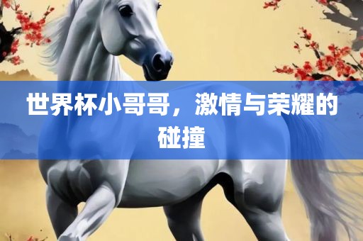 世界杯小哥哥，激情与荣耀的碰撞洪湖市顺升工程机械租赁有限公司