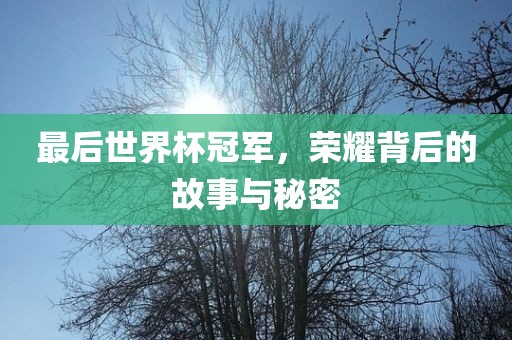 最后世界杯冠军，荣耀背后的故事与秘密