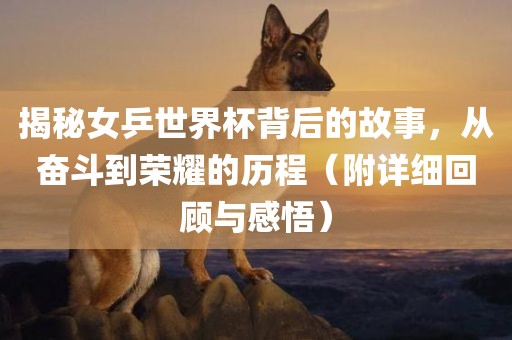 揭秘女乒世界杯背后的故事，从奋斗到荣耀的历程（附详细回顾与感悟）