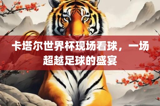 卡塔尔世界杯现场看球，一场超越足球的盛宴