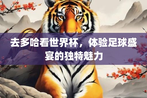 去多哈看世界杯，体验足球盛宴的独特魅力洪湖市顺升工程机械租赁有限公司