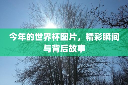 今年的世界杯图片，精彩瞬间与背后故事