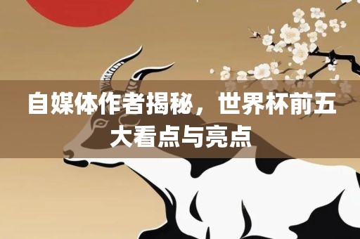 自媒体作者揭秘，世界杯前五大看点与亮点