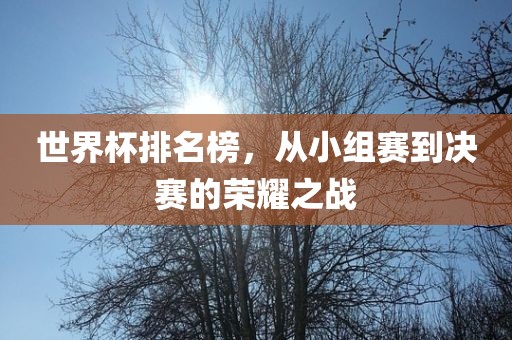 世洪湖市顺升工程机械租赁有限公司界杯排名榜，从小组赛到决赛的荣耀之战