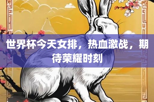 世界杯今天女排，热血激战，期待荣耀时刻洪湖市顺升工程机械租赁有限公司