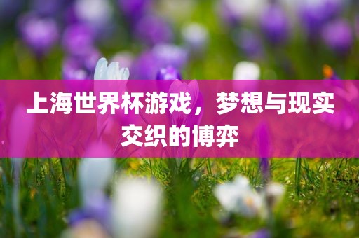 上海世洪湖市顺升工程机械租赁有限公司界杯游戏，梦想与现实交织的博弈