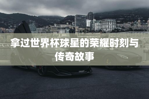拿过世界杯球星的荣耀时刻与传奇故事洪湖市顺升工程机械租赁有限公司