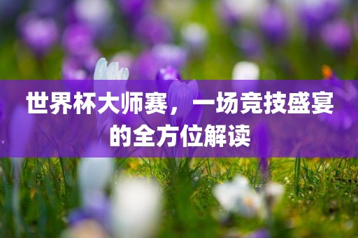 世界杯大师赛，一场竞技盛宴的全方位解读洪湖市顺升工程机械租赁有限公司