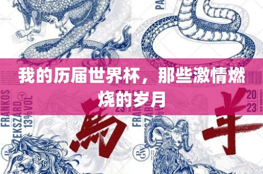 我的历届世界杯，那些激情洪湖市顺升工程机械租赁有限公司燃烧的岁月