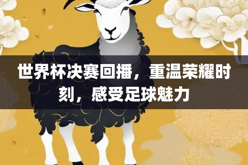 世界杯决赛回播，重温荣耀时刻，感受足球魅力洪湖市顺升工程机械租赁有限公司