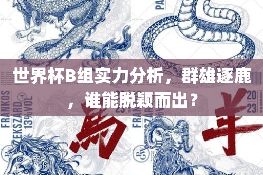 世界杯B组实力分析，群雄逐鹿，谁能脱颖而出？