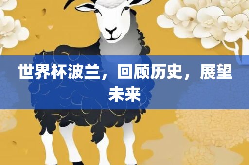 世界杯波兰，回顾历史，展望未来