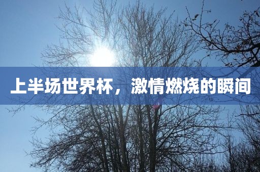 上半场世界杯，激情燃烧的瞬间