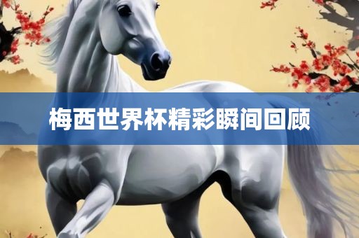 梅西世界杯精彩瞬间回顾洪湖市顺升工程机械租赁有限公司