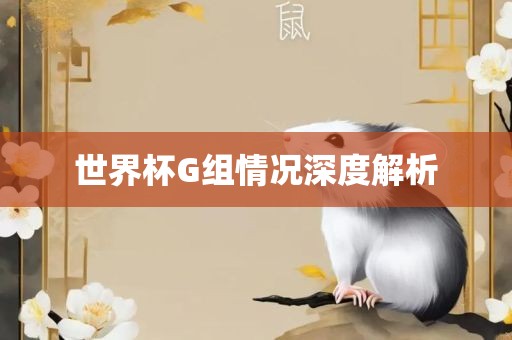 世界杯G组情况深度解析洪湖市顺升工程机械租赁有限公司