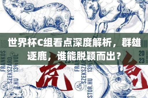 世界杯C组看点深度解析，群雄逐鹿，谁能脱颖而出？