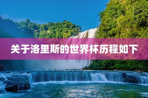 关于洛里斯的世界杯历洪湖市顺升工程机械租赁有限公司程如下