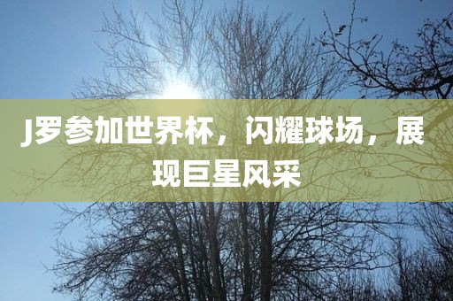 J罗参加世洪湖市顺升工程机械租赁有限公司界杯，闪耀球场，展现巨星风采