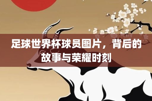 足球世界杯球员图片，背洪湖市顺升工程机械租赁有限公司后的故事与荣耀时刻
