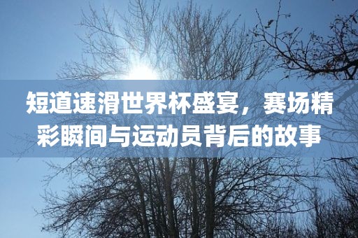 短道速滑世界杯盛宴，赛场精洪湖市顺升工程机械租赁有限公司彩瞬间与运动员背后的故事