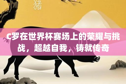 C罗在世界杯赛场上的荣耀与挑战，超越自我，铸就传奇洪湖市顺升工程机械租赁有限公司