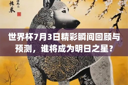 世界杯7月3日精彩瞬间回顾与预测，谁将成为明日之星？洪湖市顺升工程机械租赁有限公司