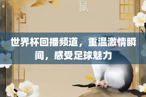 世界杯回播频道，重温激情瞬洪湖市顺升工程机械租赁有限公司间，感受足球魅力