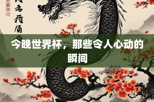 今晚世界杯，那些令人心动的瞬间