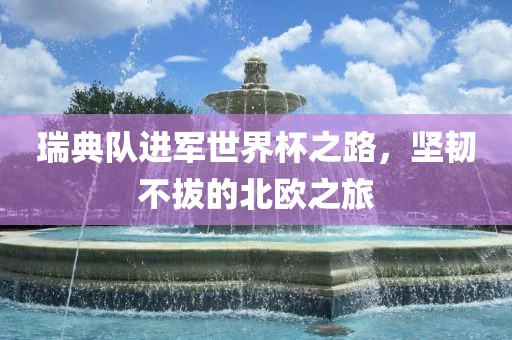 瑞典队进军世界杯之路，坚韧不拔的北欧之旅