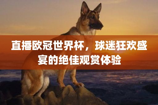 直播欧冠世界杯，球迷狂欢盛宴的绝佳观赏体验