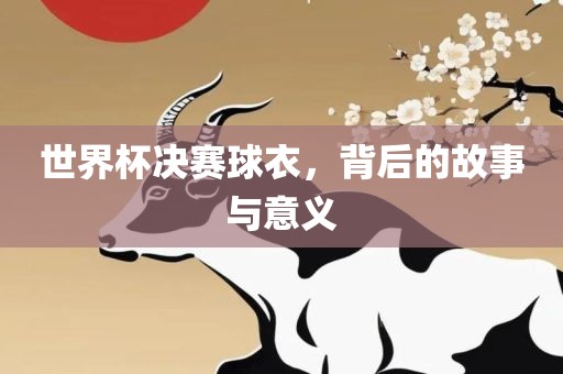 世界杯决赛球衣，背后的故事与意义