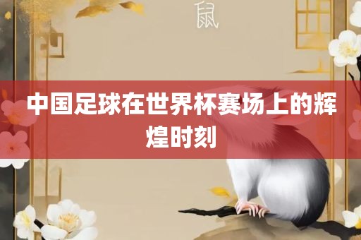 中国足球在世界杯赛场上的辉煌时刻洪湖市顺升工程机械租赁有限公司