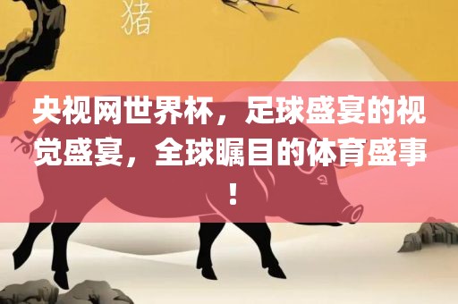 央视网世界杯，足球盛宴的视觉盛宴，全球瞩目的体育盛事！