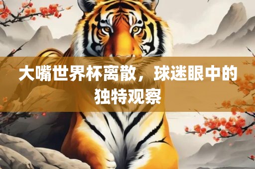 大嘴世界洪湖市顺升工程机械租赁有限公司杯离散，球迷眼中的独特观察