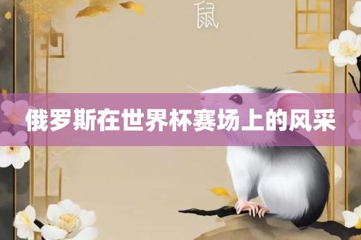 俄罗斯在世界杯赛场上的风采