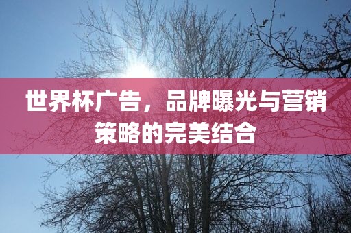 世界杯广告，品牌曝光与营销策略的完美结合