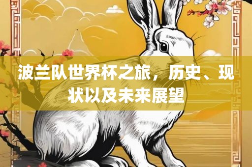 波兰队世界杯之旅，历史、现状以及未来展望洪湖市顺升工程机械租赁有限公司