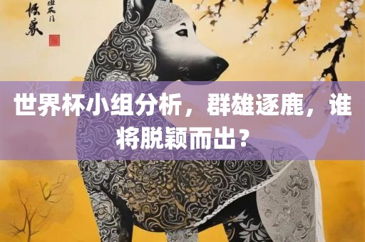 世界杯小组分析，群雄逐鹿，谁将脱颖而出？