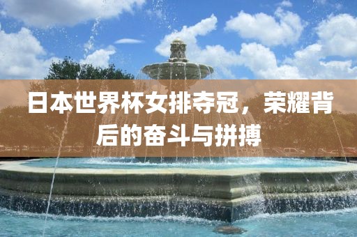 日本世界杯女排夺冠，荣耀背后的奋斗与拼搏洪湖市顺升工程机械租赁有限公司