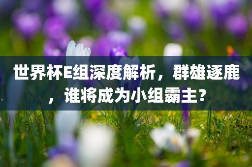 世界杯E组深度解析，群雄逐鹿，谁将成为小组洪湖市顺升工程机械租赁有限公司霸主？