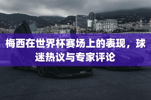 梅西在世界杯赛场上的表现，球迷热议与专家评论洪湖市顺升工程机械租赁有限公司