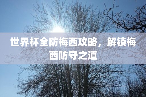 世界杯全防梅西攻略，解锁梅西防守之道洪湖市顺升工程机械租赁有限公司