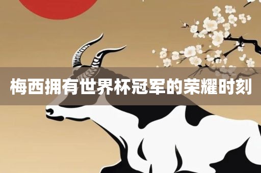 梅西拥有世界杯冠军的荣耀时刻