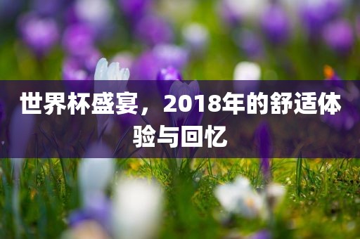 世界杯盛宴，2018年的舒适体验与回忆洪湖市顺升工程机械租赁有限公司