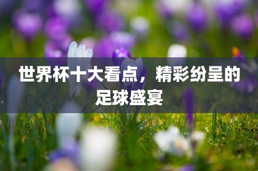 世界杯十大看点，精彩纷呈的足球盛宴洪湖市顺升工程机械租赁有限公司