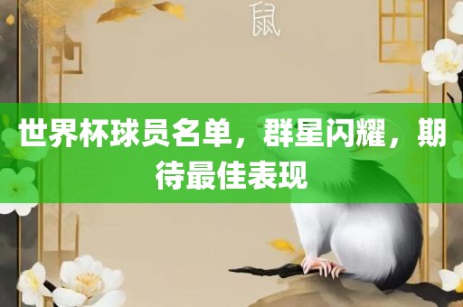 世界杯球员名单，群星闪耀，期待最佳表现洪湖市顺升工程机械租赁有限公司