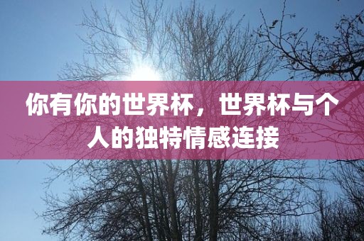 你有你的世界洪湖市顺升工程机械租赁有限公司杯，世界杯与个人的独特情感连接