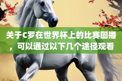 关于C罗在世界杯上的比赛回播，可以通过以下几个途径观看